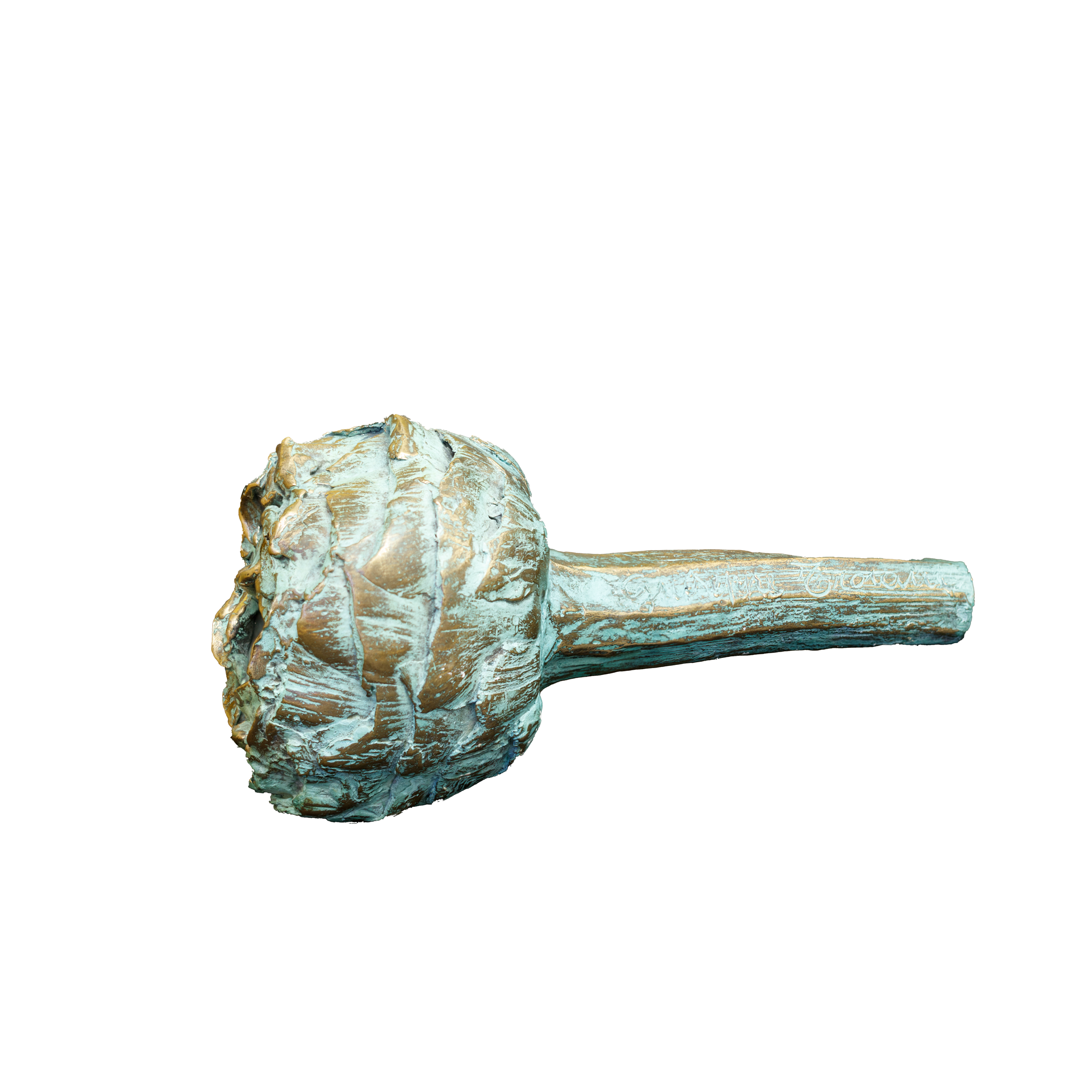 Artichoke artwork 1 by Giuseppe Troiani
