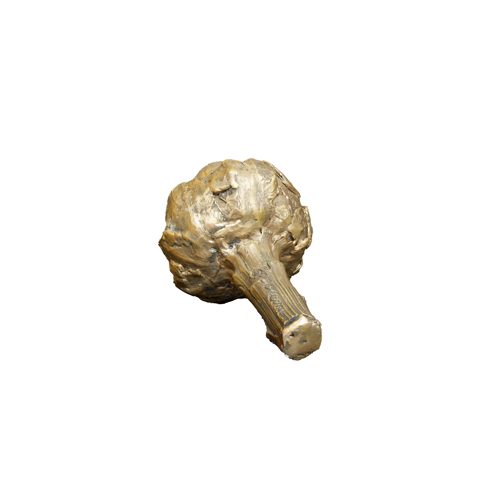 Artichoke artwork 3 by Giuseppe Troiani