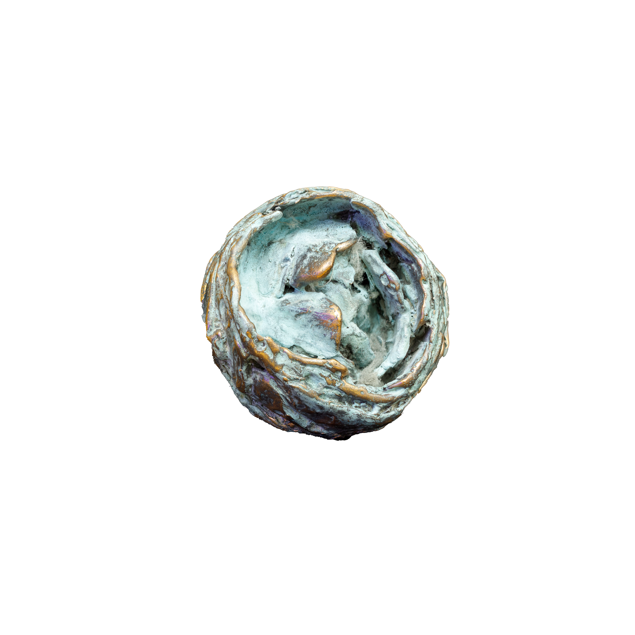 Artichoke artwork 5 by Giuseppe Troiani