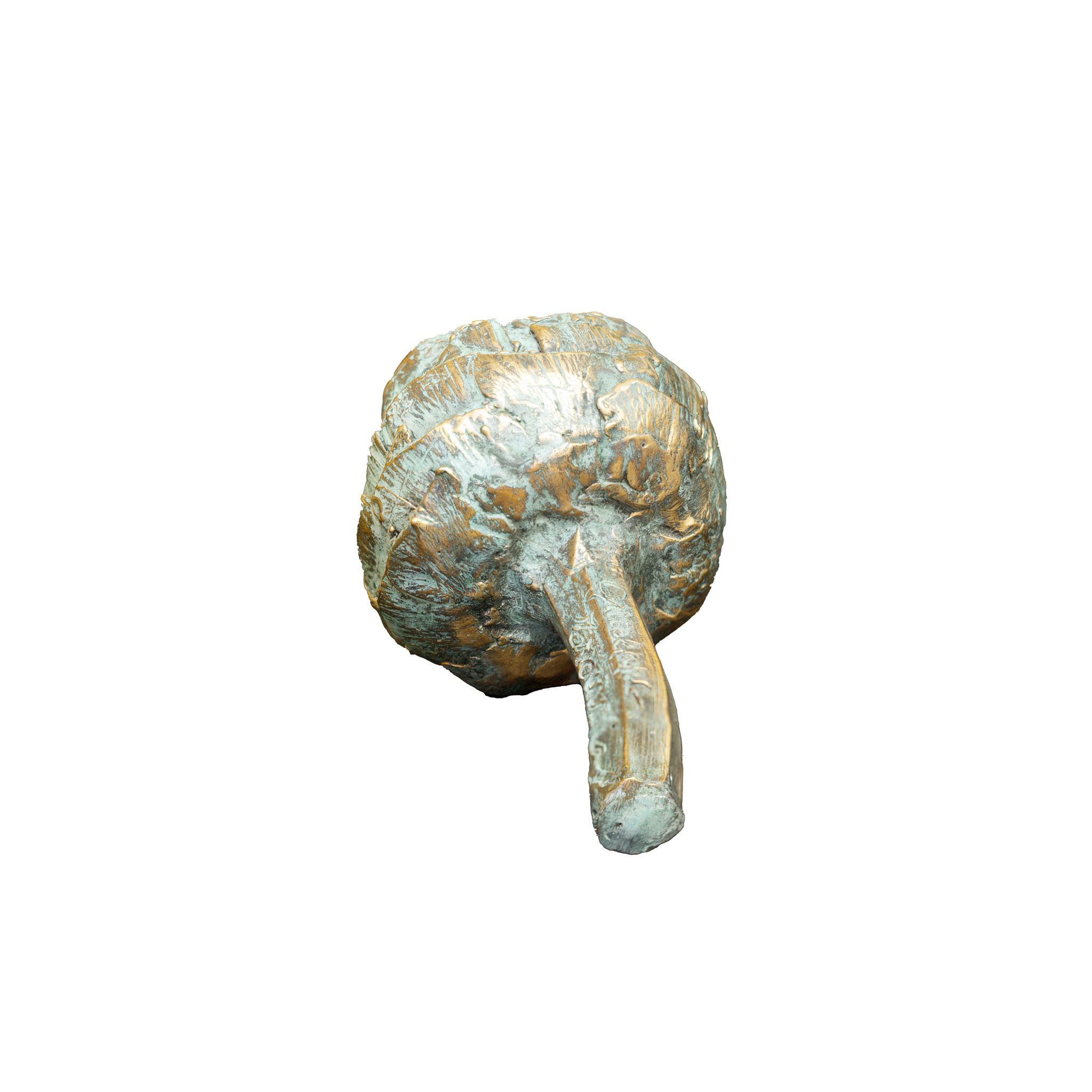 Artichoke artwork 6 by Giuseppe Troiani